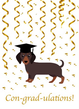 Congratulate a graduate with this cute sausage dog card!