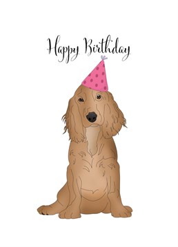 Say happy birthday to your dog loving friends/family with this super cute Spaniel puppy birthday card.