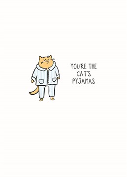 Say congratulations with something we have all wanted to see?. Cats in Pyjamas! A congratulations Anniversary card designed by Roh Noh.