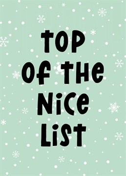 Know someone who is going to be at the top of the nice list this Christmas?