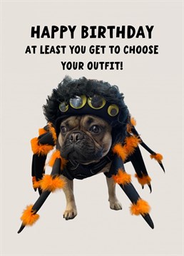 Put a smile on their face on their Birthday with this French Bulldog dressed as a spider card.