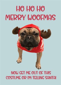 Funny Christmas card featuring an unimpressed French Bulldog dressed as a reindeer.