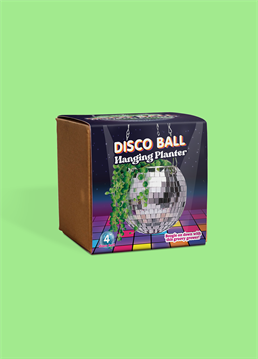<p>Introducing the Disco Ball Hanging Planter...a funky home for your favourite hanging plants! </p><p>Groovy growers can now get this 4 inch shimmering sphere - cest chic!</p><p></p>