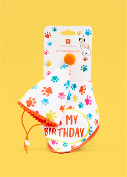 <p>You may think your doggo's in their birthday suit everyday but think again!</p>
<p> Every pet deserves to feel special on their birthday and yours is no exception! This colourful birthday bandana and party hat set are a must-have for any dog owners who want to celebrate their pup's big day in style.<br />
<br />
Adorned with bright paw prints this adorable neck tie says 'It's my birthday' whilst the matching hat is embellished with orange trim and a pom pom. Both are adjustable to fit most sizes of dogs.<br />
<br />
Bandana size: 25" when worn.<br />
Hand wash only.</p>
