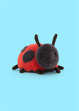 <p>This Jellycat Layla Ladybird loves to explore, and is always crawling and flitting about! With bright scarlet fur, bold black dots, suedey feelers and lots of kicky legs, this round little rascal is so very huggable. With a cheeky grin and lots to see, Layla wants to go ambling with you!</p>
