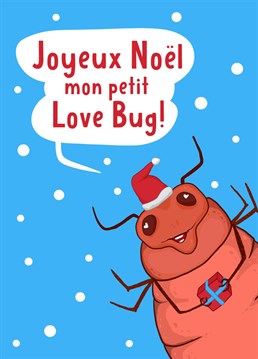 If they squirm every time they hear about the Paris bed bug infestation, this cheeky birthday card is perfect for them! Joyeux Noël!