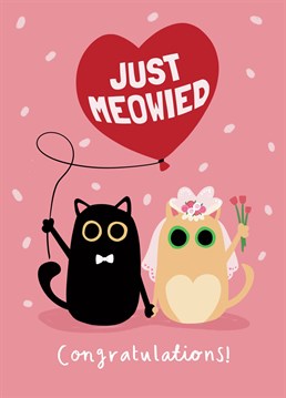 Send some congratulations to the newlyweds with this funny wedding card. If they love cats, and are just married, this is the card for them!