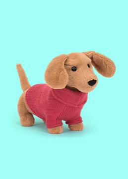 <ul>    <li>Introducing one hot dog!</li>    <li>Looking for a low maintenance and very fashionable pet? The Jellycat Sweater Sausage Dog Pink is a gosh darn adorable puppy pal and a must-have gift for any sausage dog lover.</li>    <li>This petite toffee pup has been blessed with floppy ears, a perky tail and is dressed all ready for walkies in a raspberry pink, knitted rollneck jumper - who's a dapper Dachshund doggy?!</li>    <li>Dimensions: 14cm high, 7cm wide</li></ul>