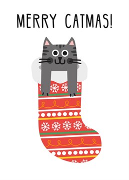 This Christmas card is for all who sit and watch Youtube videos of cats! Designed by Studio Boketto.