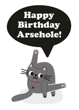 Bring out the LOLs with this funny, jokey, cat card. By Studio Boketto.