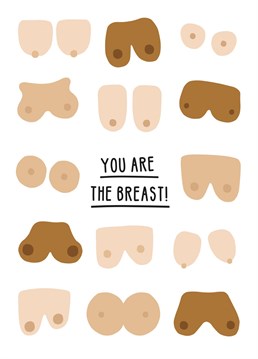 Nothing says good job and congratulations like a loads of well placed boobies on a card! Designed by Studio Boketto.