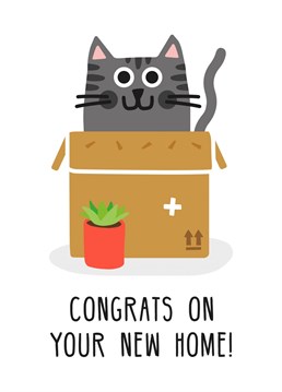 Send congrats with this cute and funny cat house warming New Home card! Designed by Studio Boketto