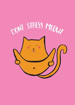 This Scribbler Birthday card is perfect for someone who's as chill as the cat on this Birthday card!