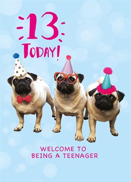 Yay, they're turning 13! Say congrats of becoming a teenager with this adorable Birthday card by Scribbler.