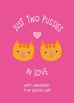 Send your wife this hilarious Scribbler Anniversary card and show her how much you love her.