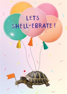 Shell-ebrate their birthday with this awesome tortoise card from Scribbler.