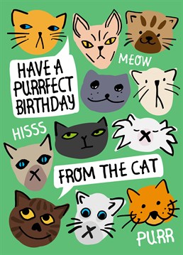 Do you know someone who loves their cat more than anything? Then get them this Birthday card by Scribbler from their cat!