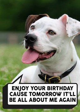 Know someone who's world revolves aroung their dog? Send this Scribbler card and let them know that yes, their birthday is all about them, tomorrow is just another day all about the dog.
