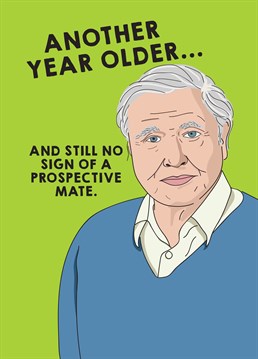 Maybe they've gotten to they age where they realise, they don't need a mate because that's too much hard work! Say happy birthday with this funny card by Scribbler.