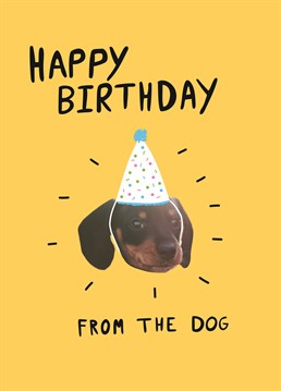 This pup is ready to party! The Scribbler birthday card that everyone is most looking forward to receiving on the big day.