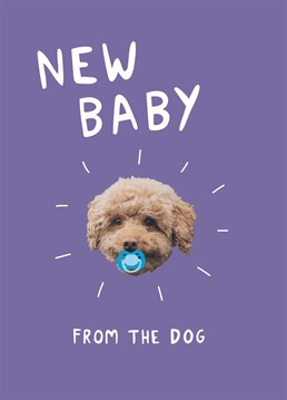 This pup is seriously excited to meet their new best friend! New baby design by Scribbler.