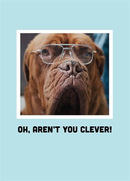 Who's a clever boy then?! Find a top dog to congratulate with this funny Scribbler design.