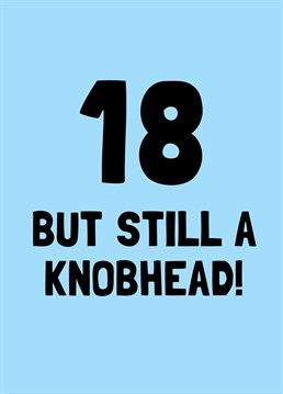 What a shame, however old they get it won't stop them from being a total knobhead! Send a savage birthday burn on their 18th with this rude design by Scribbler.