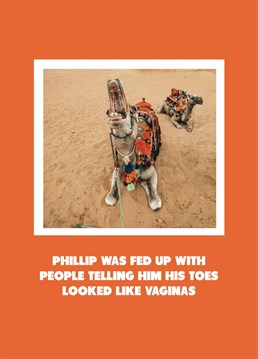 Poor Phillip! Gently tell someone they have a camel toe with this funny Scribbler design.