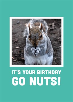 Send this Scribbler card to your best squirrel friend and help them go wild on their birthday!