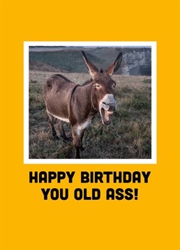 Remind you of anyone? Send this cheeky Scribbler card to an old ass and make them laugh on their birthday.
