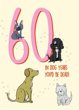 Send reassuring words to a dog lover on their milestone birthday with this paw-some 60th card by Scribbler.