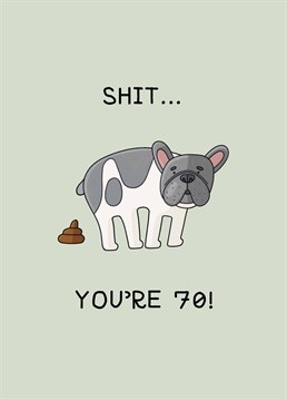 Give a dog lover an extra special 70th birthday present courtesy of this rude Scribbler card.