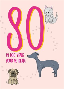 Send reassuring words to a dog lover on their milestone birthday with this paw-some 80th card by Scribbler.