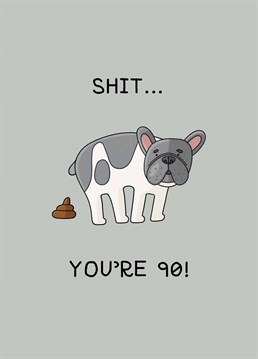 Give a dog lover an extra special 90th birthday present courtesy of this rude Scribbler card.