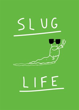 You didn't choose the slug life, the slug life chose you... Make someone laugh with this quirky Scribbler Birthday card.