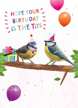 If you know they love a great pair of tits, make their birthday even better with this cheeky Scribbler card.