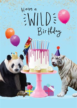 Get them ready for a totally wild celebration full of party animals! Birthday design by Scribbler.