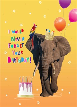That's right, an elephant never forgets! Make sure an animal lover has an eleph-antastic birthday with this fun Scribbler card.