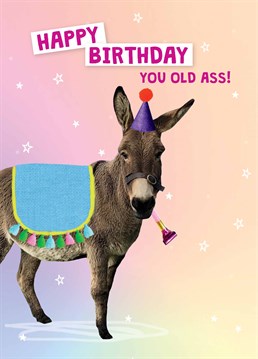 Even asses deserve a brilliant birthday card! Make someone laugh with this rude Scribbler design.