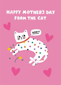 Make sure mum gets a cute Mother's Day card from her favourite child - the cat! Designed by Scribbler.