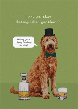 Look at that bow tie and top hat - so distinguished! Send this fun birthday card to celebrate a dog-loving, gent. Designed by Scribbler.
