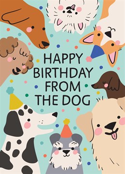 If the dog really wants to send their favourite human a birthday card you can help them out by ordering this one especially. Designed by Scribbler.