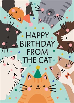If the cat really wants to send their favourite human a birthday card you can help them out by ordering this one especially. Designed by Scribbler.