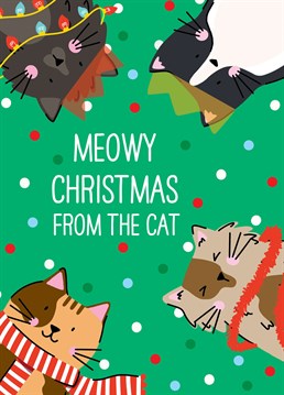 If the cat really wants to send their favourite human a Christmas card you can help them out by ordering this one especially. Designed by Scribbler.
