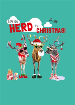 Get the herd together for a WILD Christmas celebration and make your loved one laugh with this punny, animal-themed Scribbler card.