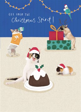 You should never let your dog drink gin but also, relatable content� Ideal for someone with a house full of pets, send this cute Christmas card to an animal lover. Designed by Scribbler.