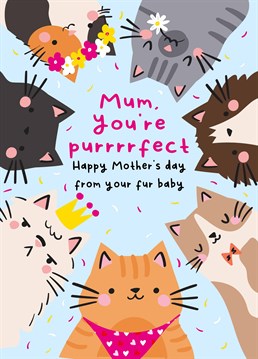 Which one looks like her fur baby? Make sure your mum gets a cute Mother's Day card from her fave kitty! Designed by Scribbler.