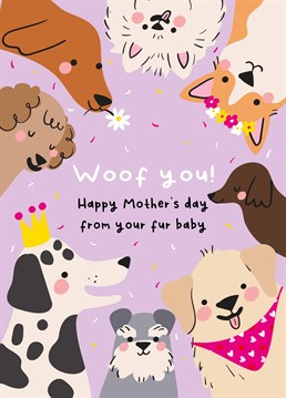 Which one looks like her fur baby? Make sure your mum gets a cute Mother's Day card from her fave doggo! Designed by Scribbler.