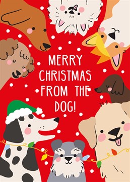 Which one looks like your fur baby? Make sure your loved one gets a cute Christmas card from their favourite family member! Designed by Scribbler.