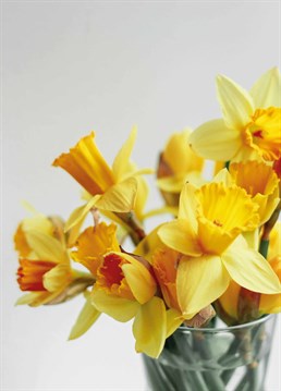 Nothing says Easter like a freshly-picked bunch of daffs to brighten up their home, and this photographic Scribbler card is basically the real thing!